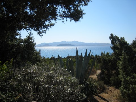 Stelida, Naxos, 2011