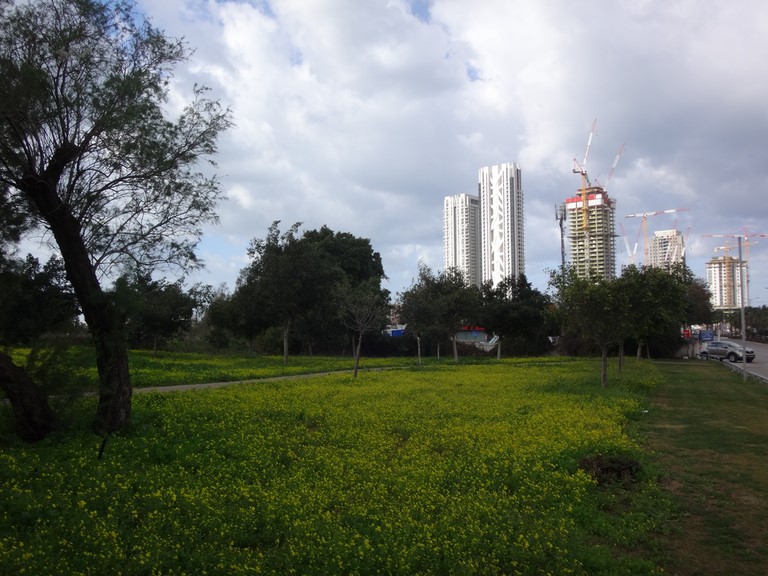 Yafo outskirts