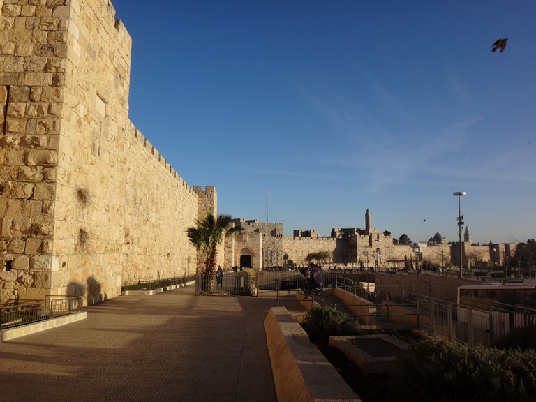 jerusalem with a hawk