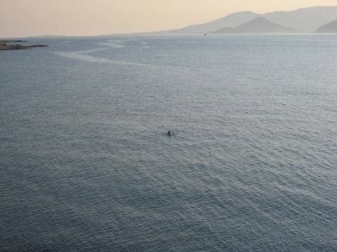 alfred de grazia stelida naxos greece