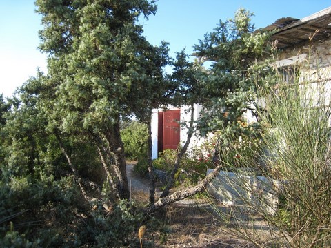 alfred de grazia cabin stelida naxos