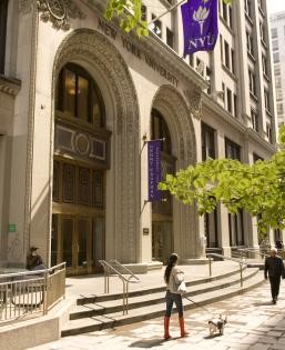 new york university